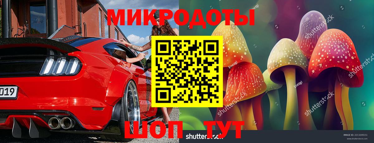 Галлюциногенные грибы Psilocybe  сколько стоит  Екатеринбург  Вход с VPN 